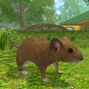 Forest Mouse 